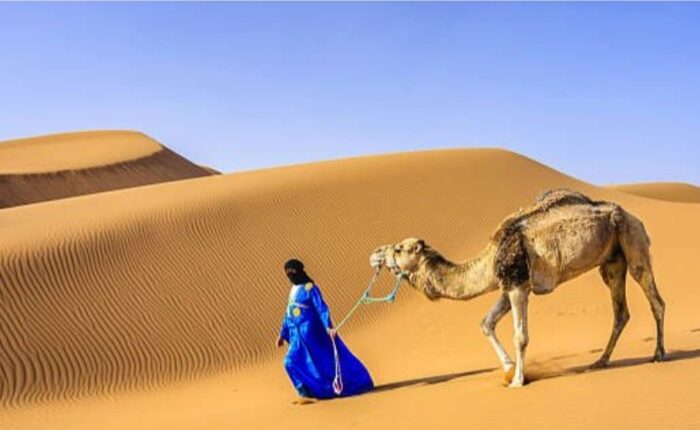 Mystical Morocco: A Guide to Culture, Food & Hidden Adventures
