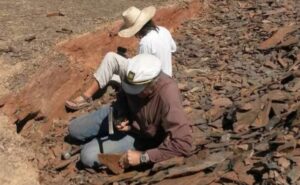 Morocco Fossil and Geology Tours