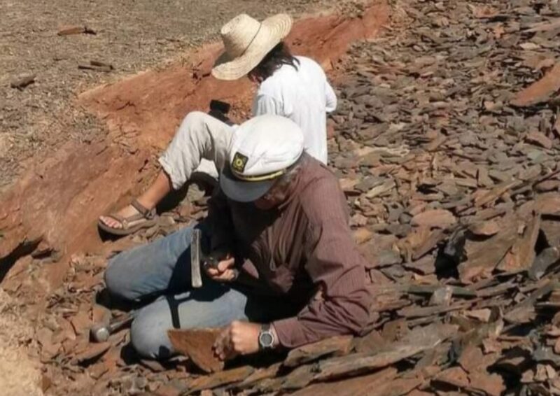 7-Day Morocco Geological & Fossil Tour