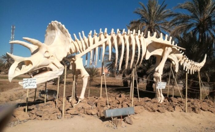 7-Day Morocco Geological & Fossil Tour